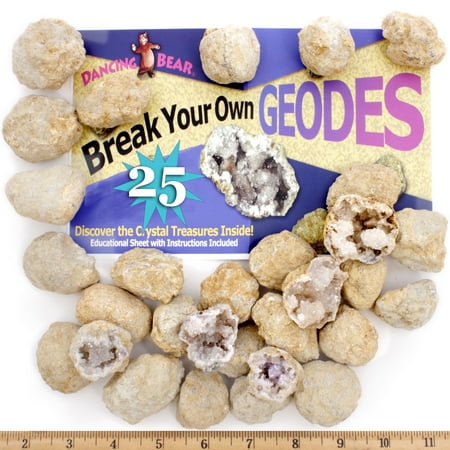 DANCING BEAR Break Open 25 Geodes - Geology Science Kit for Children Unisex