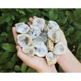 thumbnail image 1 of Break Your Own Geodes CLEARANCE Box Lot (Large Opened Natural Moroccan Crystals), 1 of 10