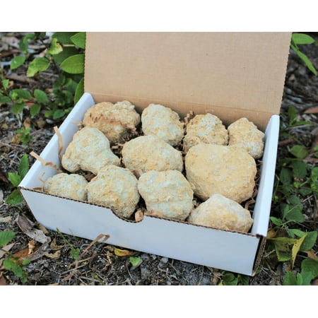 Break Your Own Geodes Gift Box (8 - 12 pcs) Large Unopened Moroccan Crystals