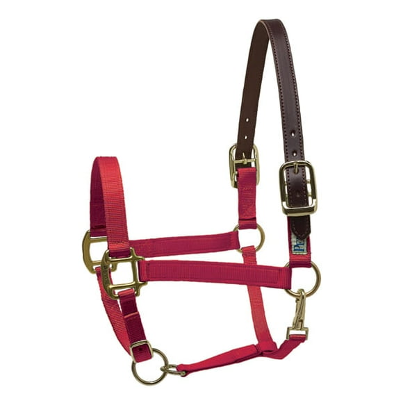 Breakaway Halter - Cob Colors: Red