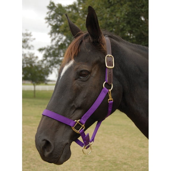 Breakaway Halter - Horse Colors: Red
