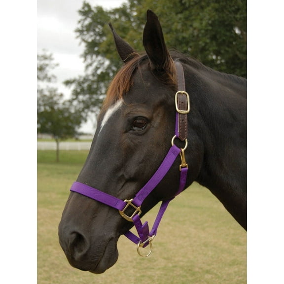 Breakaway Halter - Horse Colors: Red