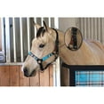 thumbnail image 1 of Kensington Premium Breakaway Halter with Padded Nose — Added Breakaway Safety Measures — Snap at Throat for Identical Fit Each Time (Black w/Black Ice, Medium), 1 of 2