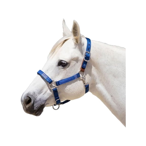 KENSINGTON PROTECTIVE PRODUCTS Premium Breakaway Kentucky Blue XL-Large Horse Halter (KHSB-XL-181)