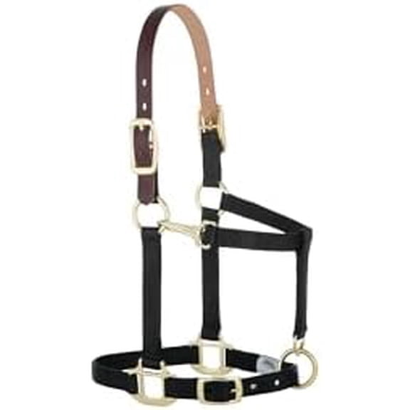 Breakaway Horse Halter, Supple Leather Crown, Adjustable Chin & Throat Snap Halters for Horses, Equine Tack,Pony Size, Black$$Sport & Recreation Other