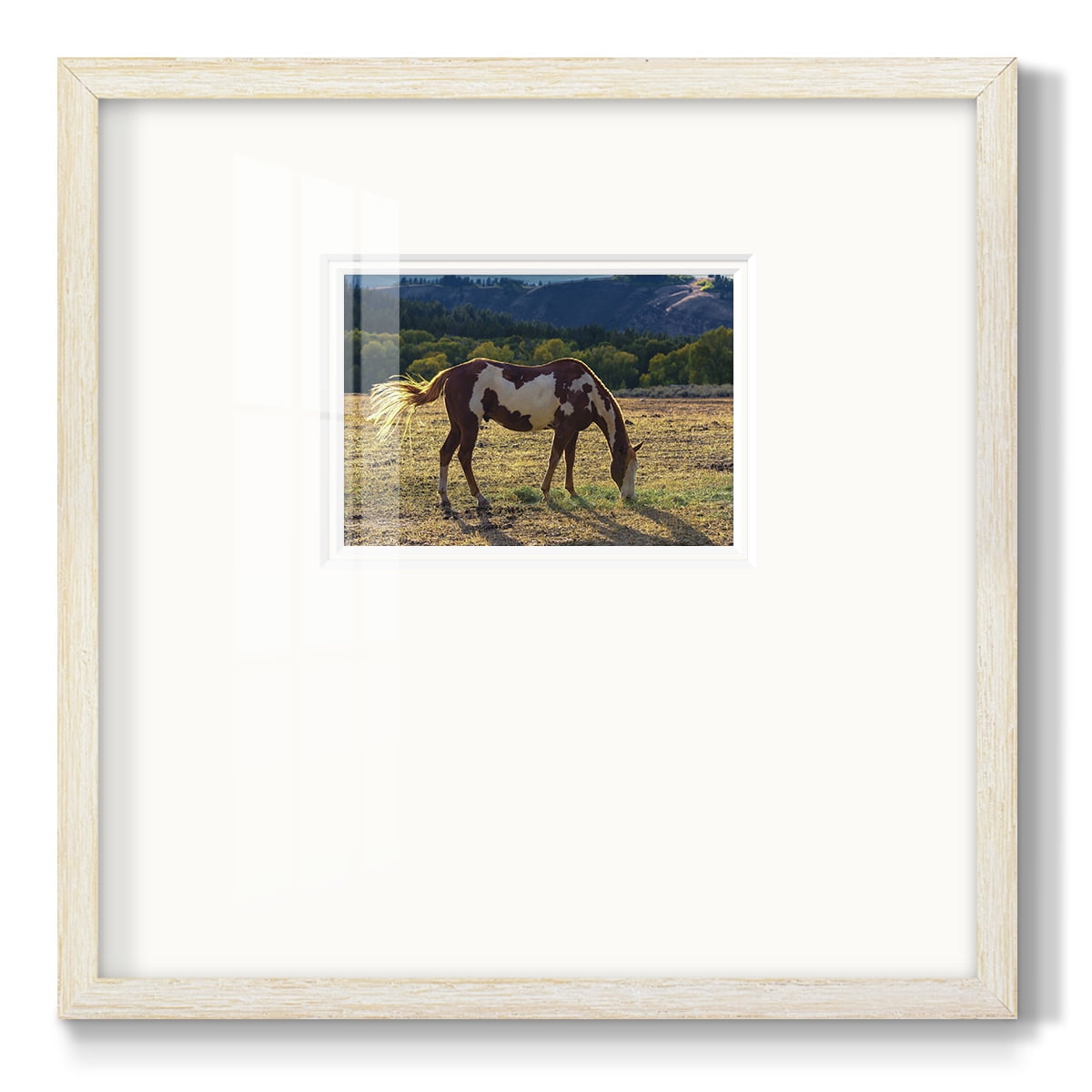BreakfastPremium Framed Print