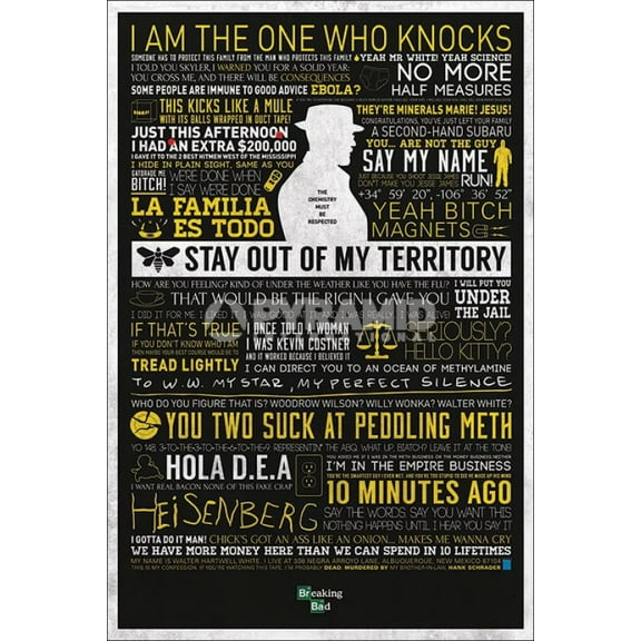 Breaking Bad - Classic Quotes Laminated Poster by (24 x 36)