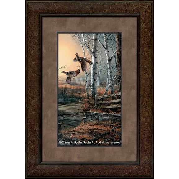 Breaking Cover - Ruffed Grouse Pinnacle Framed Pinnacle Print by Terry Redlin