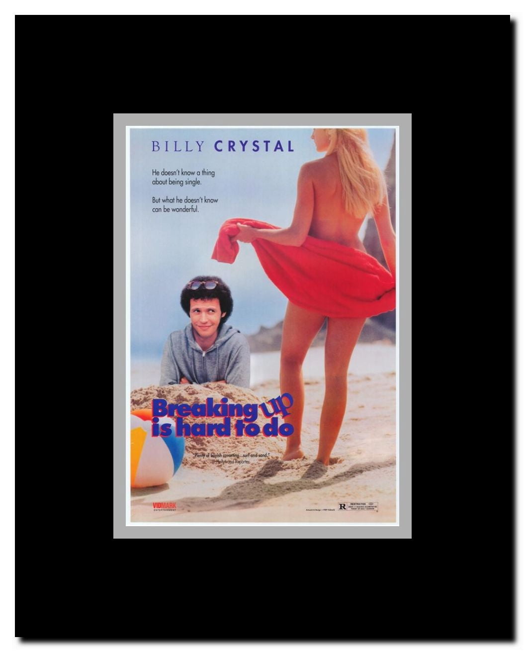 Breaking Up Is Hard to Do Framed Movie Poster