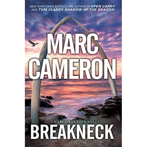 Pre-Owned Breakneck: A Captivating Novel of Suspense (Hardcover) 149673761X 9781496737618