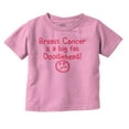 thumbnail image 1 of Breast Cancer is a Doodiehead Youth T Shirt Tee Girls Infant Toddler Brisco Brands 12M, 1 of 6