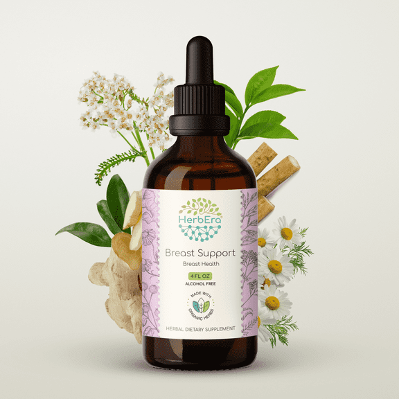 HerbEra Breast Support Extract, Dietary Supplement Herbal Formula, Made from Burdock Root, Chamomile Flower, Yarrow Leaf and Flower, Green Tea Leaf, Ginger Root 4 oz