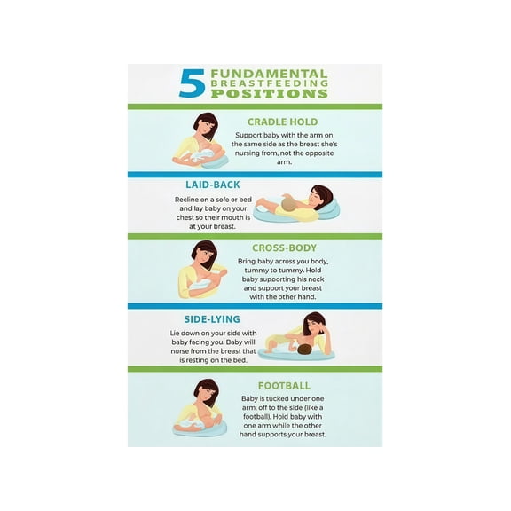Breastfeeding Positions Chart Nursing Latch Guide Educational Poster for New Moms Nursery Wall Decor Infant Care Reference Art Print