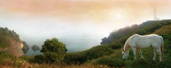 Breath of Early Morning Canvas Art - David M Maclean (24 x 48)
