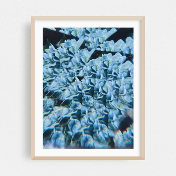 Breath of fresh air - Photography Abstract Floral Surrealism Botanical Nature Psychedelic Pattern Oak Framed Wall Art Print 8 x 10 inches