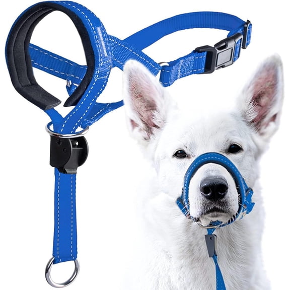 Breathable Basket Dog Muzzle Adjustable for Small Medium Large Dogs Orange
