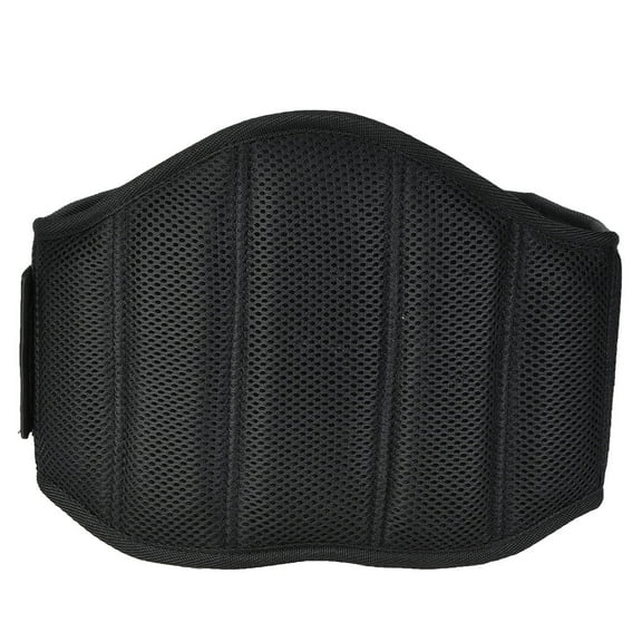 Breathable Design Back Brace for Herniated Disc Support, Lumbar Support with Adjustable Straps for Posture Correction, Sciatica Relief, Weight Lifting Support for Men & Women