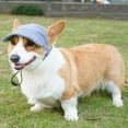 thumbnail image 1 of Breathable Dog Sun Visor Hat For Short Nosed Breeds Lightweight Polyester Outdoor Summer Pet Baseball Cap, 1 of 5