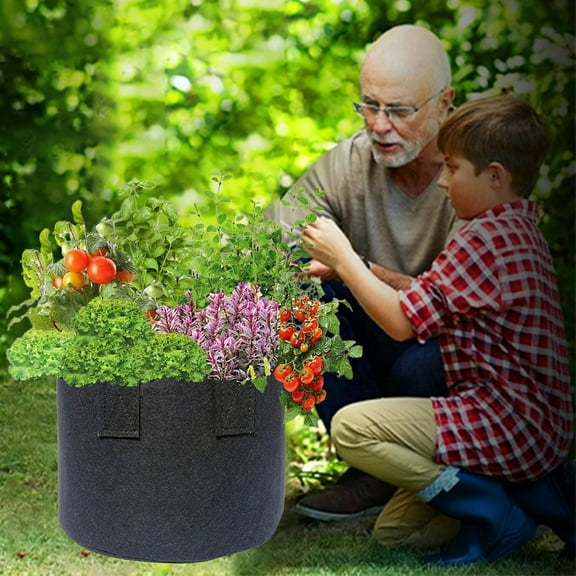 Breathable Fabric Plant Growth Bags | Thick Nonwoven Aeration Pots | Handles for Easy Moving | 15.74x11.81 Inches | Reusable Gardening Containers | Black | 1 Pack
