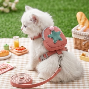 Breathable H-Style Pet Harness & Leash Set – Cute Backpack Cat Vest Belt, Reflective Adjustable Vest for Small Dogs & Cats, Soft, Comfortable, and Tangle-Free Walking, Pink,S