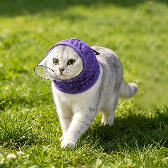 Breathable Mesh Cat Muzzle with Transparent Guard Adjustable Anti-Lick Head Protector for Grooming Bathing