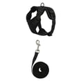 thumbnail image 1 of Breathable Mesh Dog Cat Harness and Leash Set, No-Pull Adjustable Pet Vest Harness for Small Medium Dogs and Cats, Comfortable Walking Gear for Pets,Black,S, 1 of 9