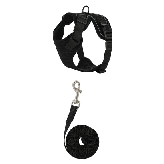 Breathable Mesh Dog Cat Harness and Leash Set, No-Pull Adjustable Pet Vest Harness for Small Medium Dogs and Cats, Comfortable Walking Gear for Pets,Black,S