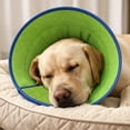 thumbnail image 1 of Breathable Mesh Dog Cone Small Breed Elizabethan Collar Soft Padded Cuff Pet Recovery Collar for Chewing Lick Scratch Protection Post Surgery Grooming Care, S M L XL Sizes, Plastic, XL, 1 of 6
