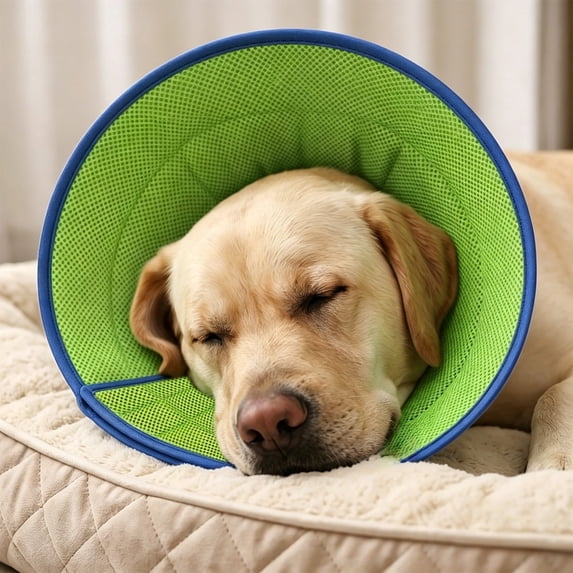 Breathable Mesh Dog Cone Small Breed Elizabethan Collar Soft Padded Cuff Pet Recovery Collar for Chewing Lick Scratch Protection Post Surgery Grooming Care, S M L XL Sizes, Plastic, XL