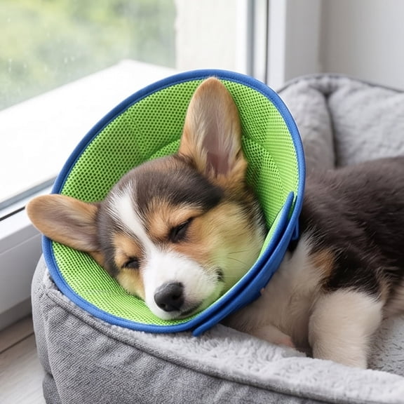 Breathable Mesh Dog Elizabethan Collar, Soft Padded Pet Recovery Cone with Anti-Lick Protection, Versatile Wound Guard for Grooming and Post-Surgery Care