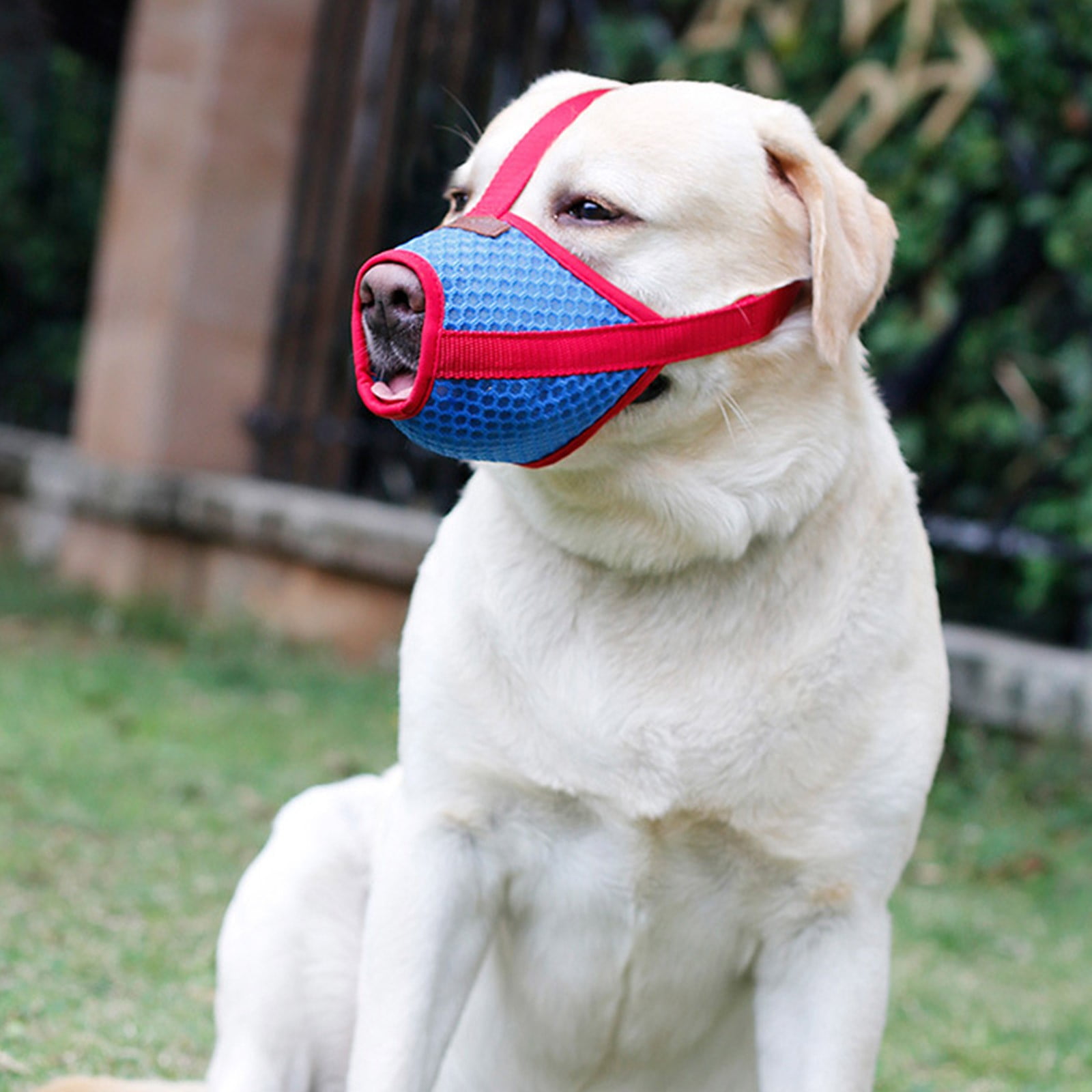 Breathable Mesh Dog Muzzle Barking Biting Chewing And Stop Eating