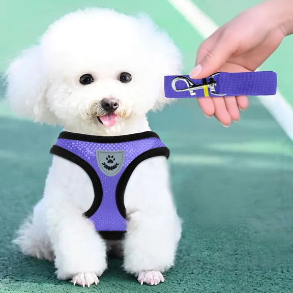 Breathable Mesh Pet Harness with Leash for Small Dogs and Cats, Adjustable Escape Proof Walking Vest, Soft Comfortable Chest Strap for Daily Outdoor Use