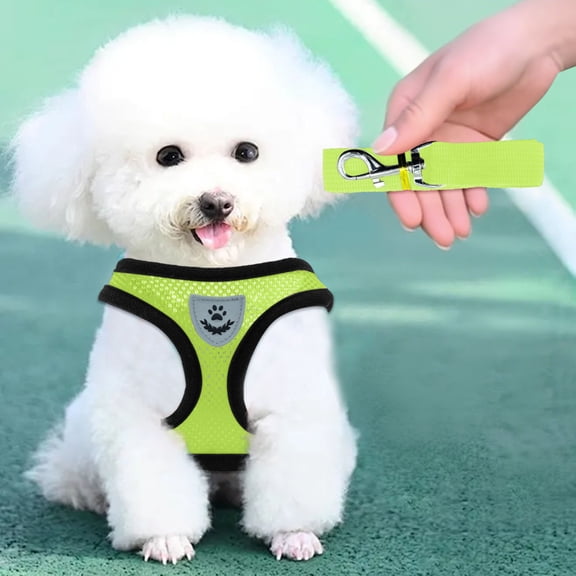 Breathable Mesh Pet Harness with Leash for Small Dogs and Cats, Adjustable Escape Proof Walking Vest, Soft Comfortable Chest Strap for Daily Outdoor Use