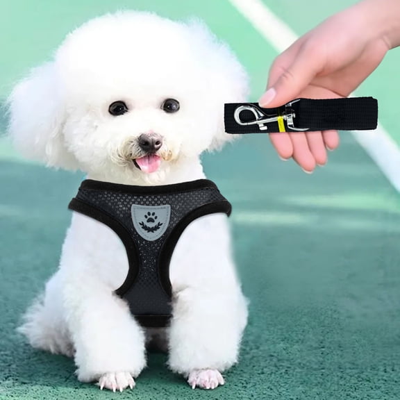 Breathable Mesh Pet Harness with Leash for Small Dogs and Cats, Adjustable Escape Proof Walking Vest, Soft Comfortable Chest Strap for Daily Outdoor Use