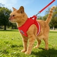 thumbnail image 1 of Breathable Mesh Pet Harness and Leash Set with Reflective Strip Adjustable Vest for Small Dogs Cats Walking, 1 of 4