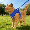 thumbnail image 1 of Breathable Mesh Pet Harness and Leash Set with Reflective Strip Adjustable Vest for Small Dogs Cats Walking, 1 of 4