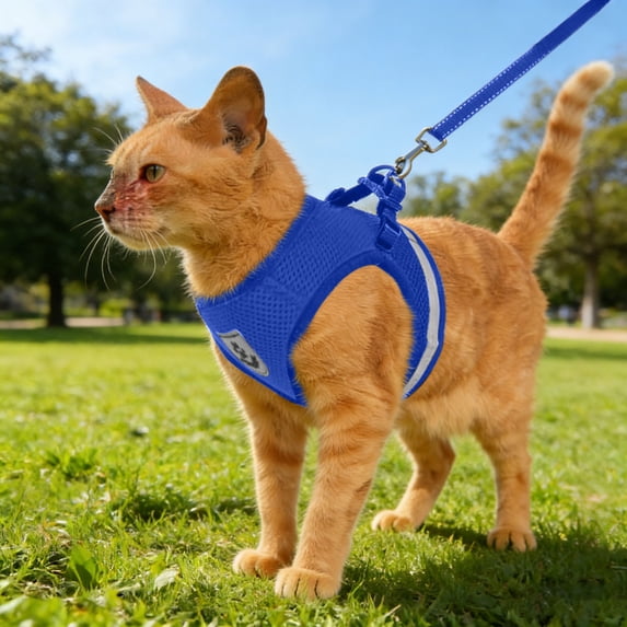 Breathable Mesh Pet Harness and Leash Set with Reflective Strip Adjustable Vest for Small Dogs Cats Walking
