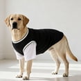 thumbnail image 1 of Breathable Mesh Shed Resistant Basketball Style Sports T-Shirts for Medium & Large Dogs(L,Black), 1 of 8