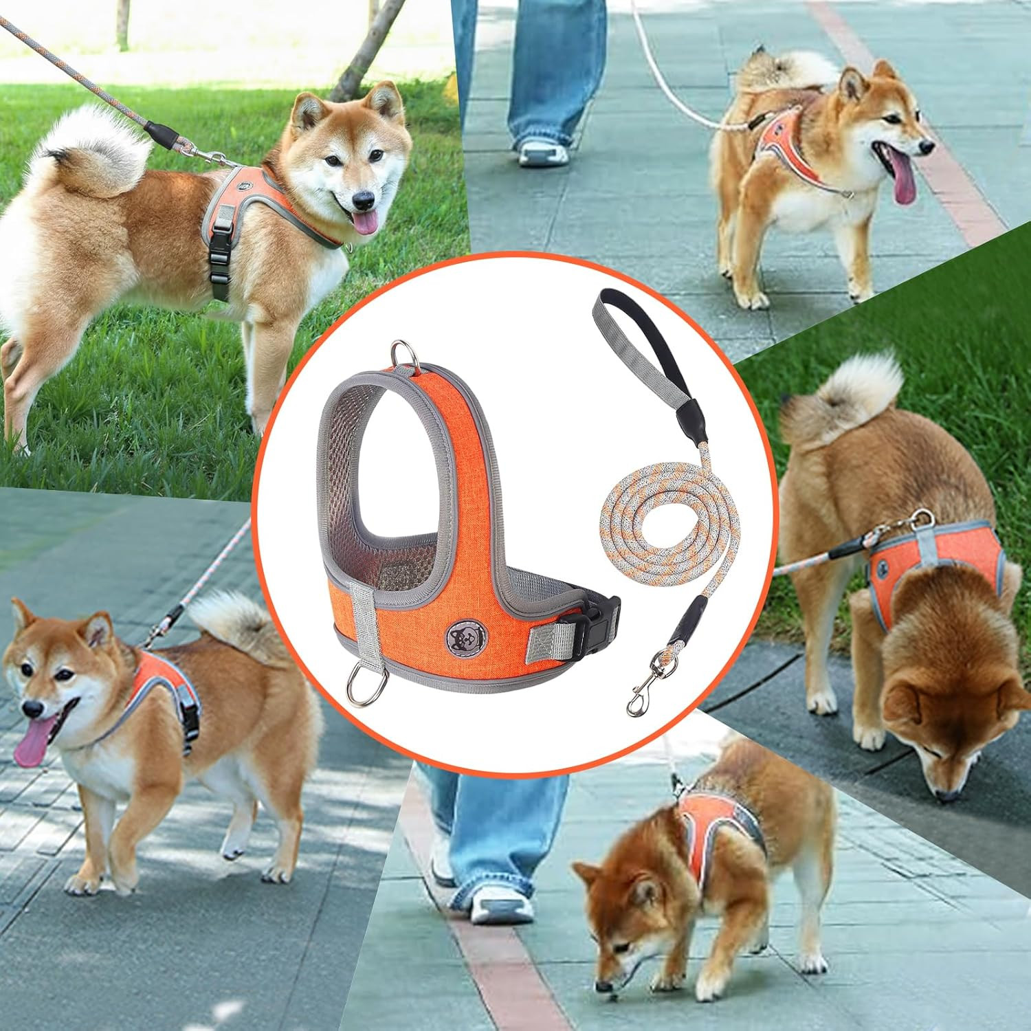 NON-stop Dogwear Bungee Leine 3,8m, 23mm Breit | Flexible Gummileine Für Hunde | Mit Zugstopp-Schließe
