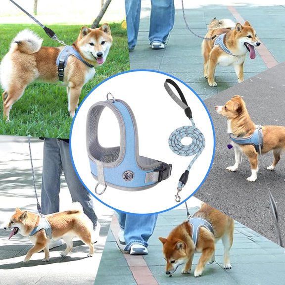 Breathable No-Pull Dog Harness with Reflective Leash Set - Soft Cationic Mesh Material, Adjustable Fit for Small Dogs, Comfortable Safe Walking Gear, Visible in Low-Light Conditions, S, Blue