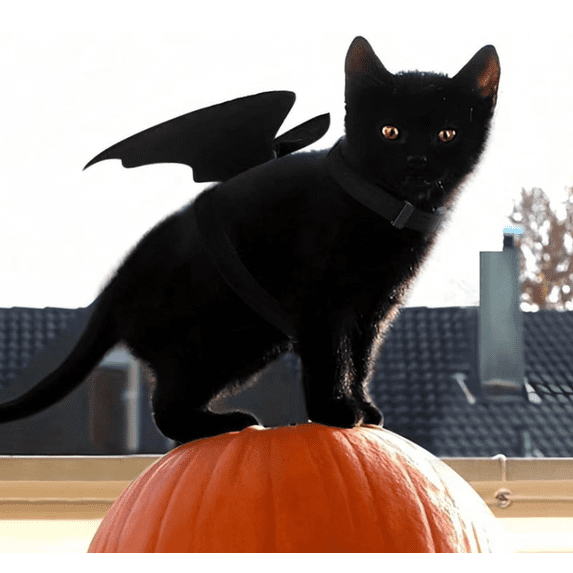 Breathable Polyester Bat Wing Pet Harness, Matching Leash Included Adjustable Cat Dog Halloween(Black M)