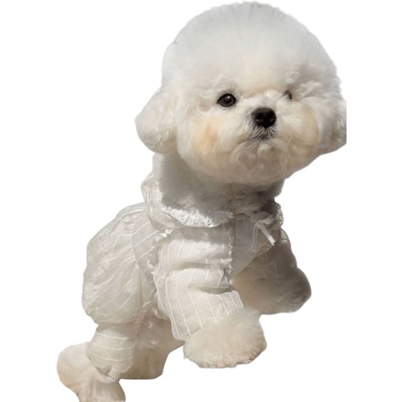 Breathable Tulle Pet Romper Four Leg Design Jumpsuit Dog Clothes For Mosquitos Protections Sun Coverage Walking Gear