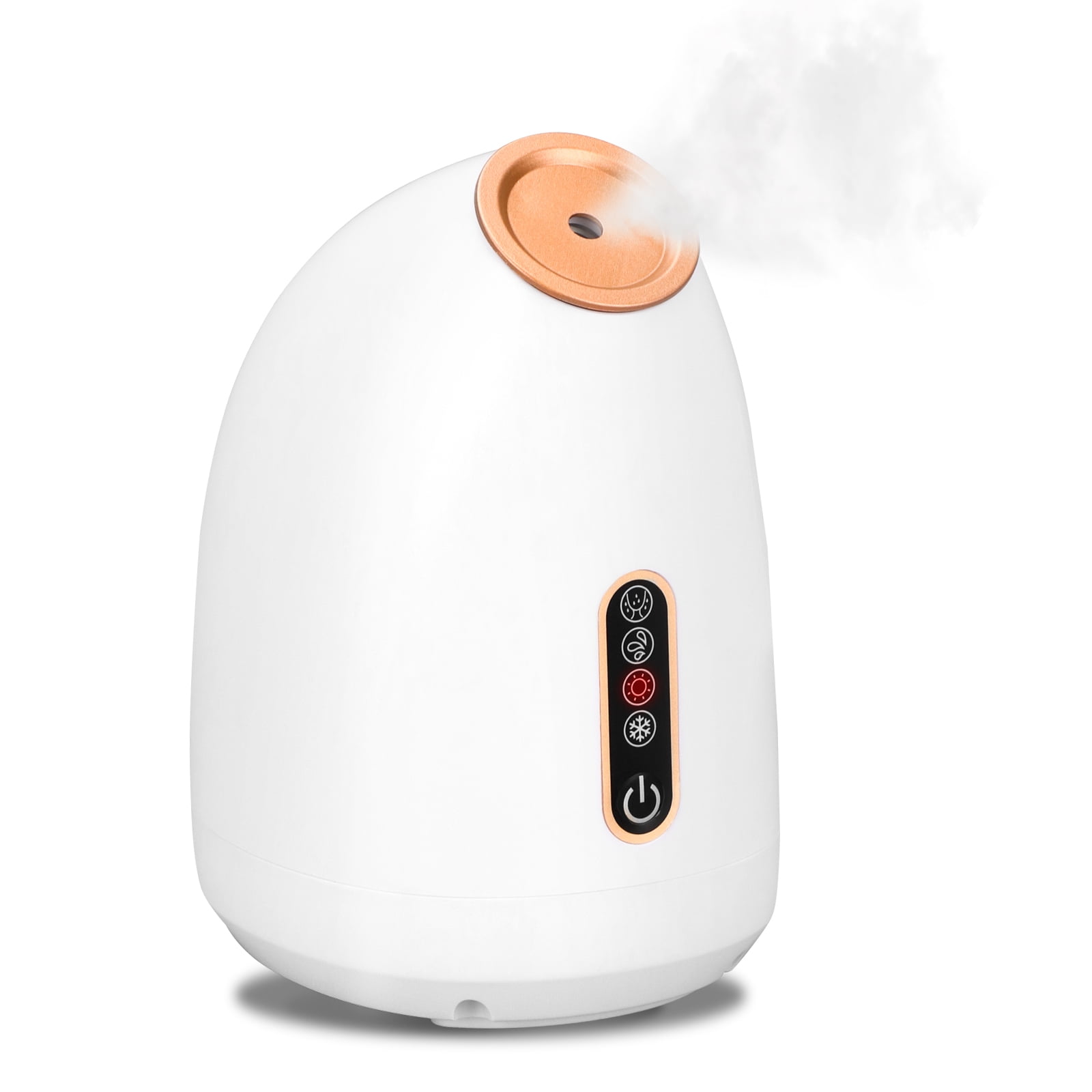 BreeRainz Facial Steamer, 4 Modes Nano Ionic Face Steamer for Facial