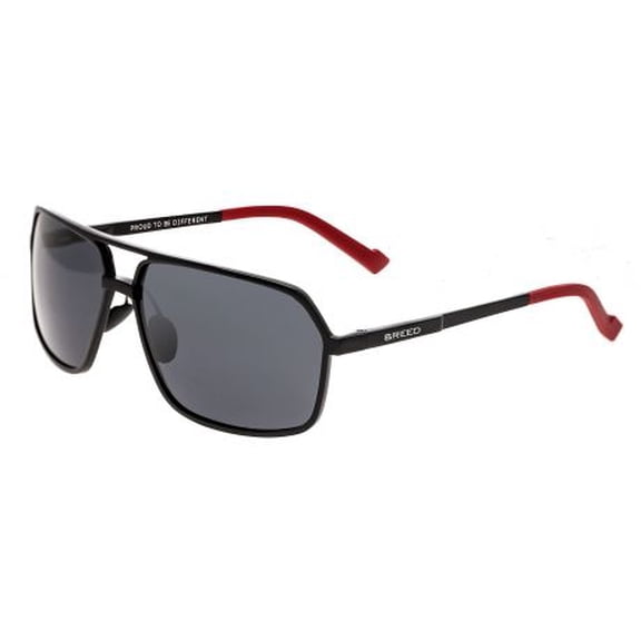 Breed Fornax Sunglasses, Black Titanium Frame, Black Lens