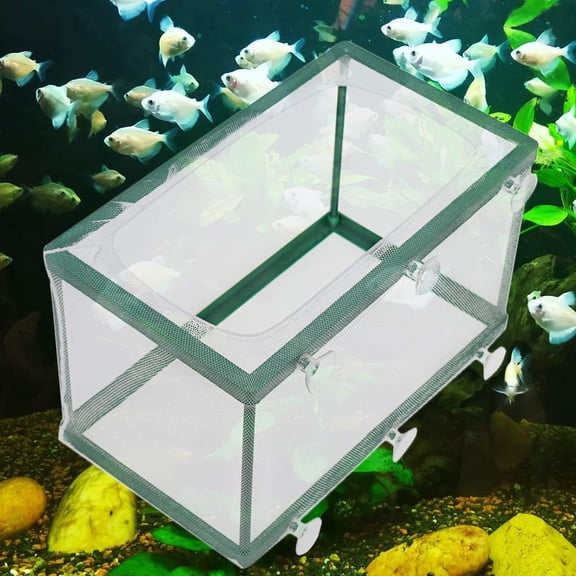 Breeder Box for Fish Tank,Aquarium Breeder Box Plastic Frame Baby Fish Tank Separation Breeding Aquarium Spawn Hatchery Isolation with Suction Cups,Pack of 1