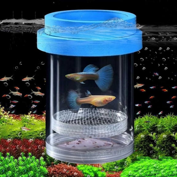 Breeder Box for Fish Tank Aquarium Breeder Separation Net Breeding Box with Suction Cup for Small Fish Shrimp Clownfish Guppy, Blue