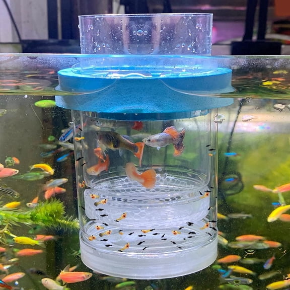 Breeder Box for Fish Tank Isolation Aquarium Separator Hatchery Incubator for Shrimp Clownfish