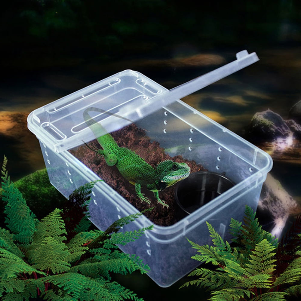 Breeding Box ReptileTurtle EnclosurePlastic Storage Case Feeding