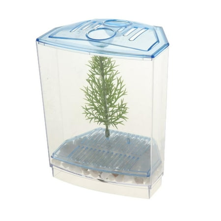 Breeding Box Transparent Small Box for Fish Suitable for All Kinds of Small Fish 2