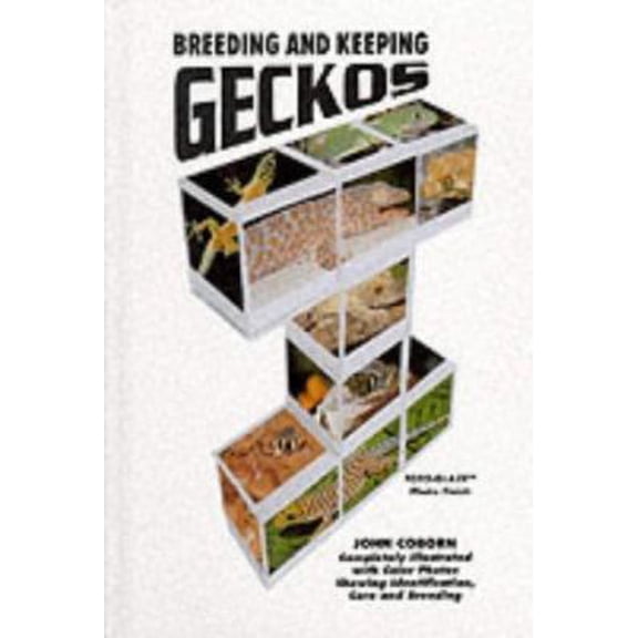 Pre-Owned Breeding and Keeping Geckos (Hardcover) 0793801346 9780793801343